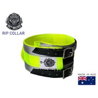 Get Belted - Rip Collar