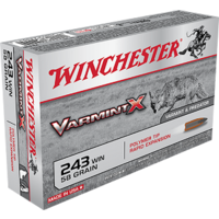 Winchester Varmint X 243Win 58 Gr. PT 20 Pack