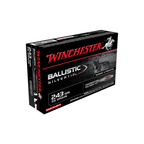 Winchester Supreme 243Win 55 Gr. BST 20 Pack